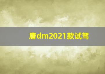 唐dm2021款试驾