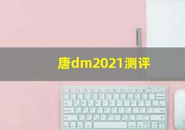 唐dm2021测评