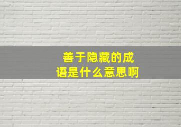 善于隐藏的成语是什么意思啊