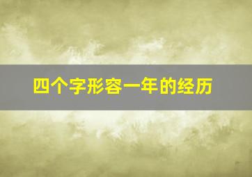 四个字形容一年的经历