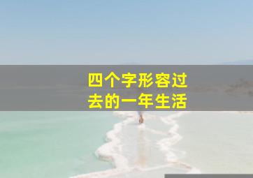 四个字形容过去的一年生活