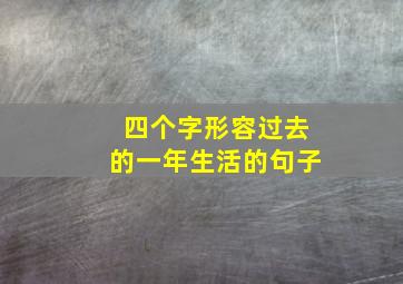 四个字形容过去的一年生活的句子