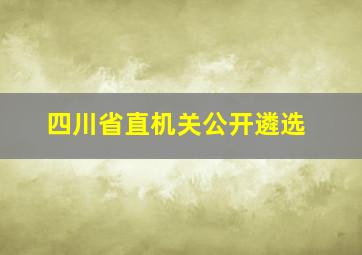 四川省直机关公开遴选