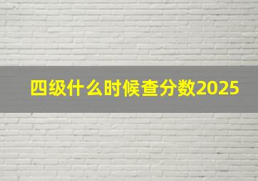 四级什么时候查分数2025