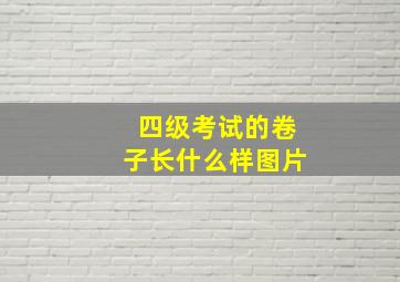 四级考试的卷子长什么样图片