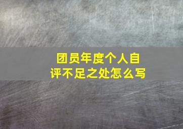 团员年度个人自评不足之处怎么写