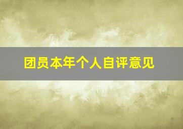 团员本年个人自评意见