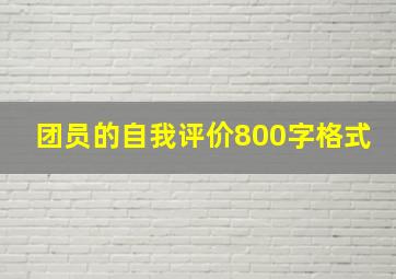 团员的自我评价800字格式