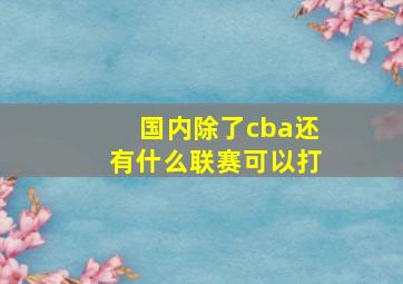 国内除了cba还有什么联赛可以打