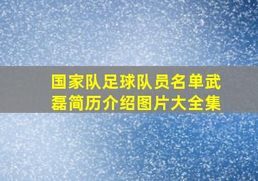 国家队足球队员名单武磊简历介绍图片大全集