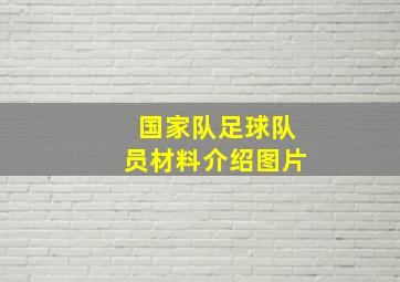 国家队足球队员材料介绍图片