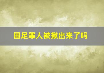 国足罪人被揪出来了吗