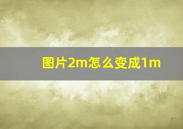 图片2m怎么变成1m