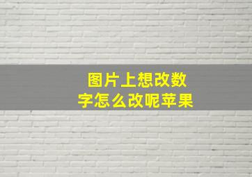 图片上想改数字怎么改呢苹果