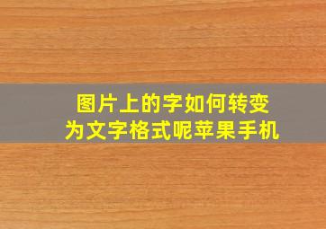 图片上的字如何转变为文字格式呢苹果手机