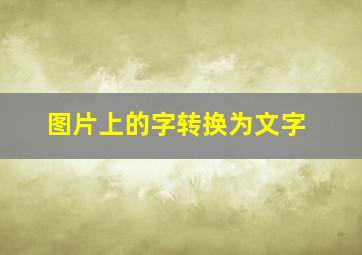 图片上的字转换为文字