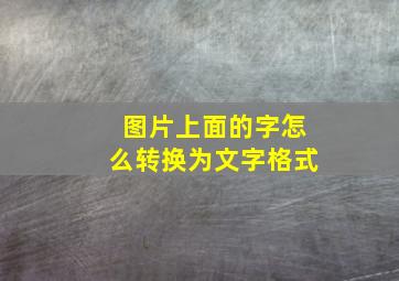 图片上面的字怎么转换为文字格式