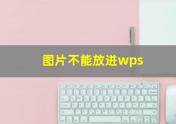 图片不能放进wps