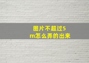 图片不超过5m怎么弄的出来