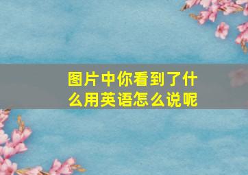 图片中你看到了什么用英语怎么说呢