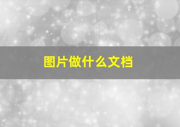 图片做什么文档