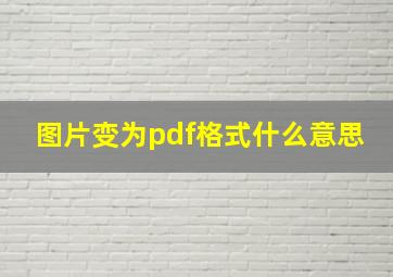 图片变为pdf格式什么意思