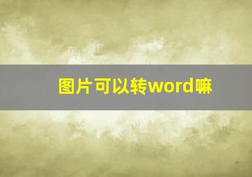 图片可以转word嘛