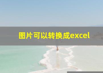 图片可以转换成excel