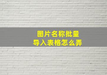 图片名称批量导入表格怎么弄