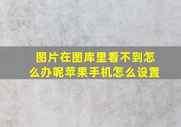 图片在图库里看不到怎么办呢苹果手机怎么设置