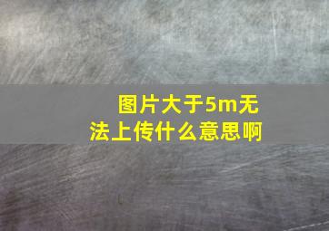 图片大于5m无法上传什么意思啊