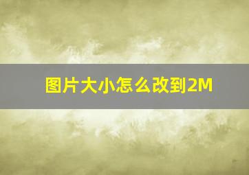 图片大小怎么改到2M