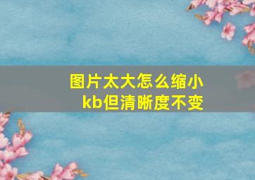 图片太大怎么缩小kb但清晰度不变