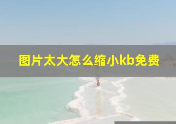 图片太大怎么缩小kb免费