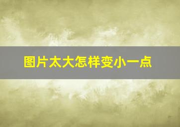 图片太大怎样变小一点