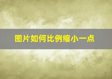 图片如何比例缩小一点