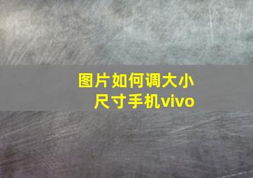 图片如何调大小尺寸手机vivo