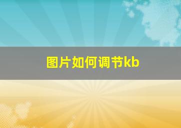 图片如何调节kb