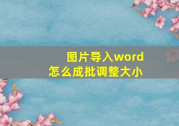 图片导入word怎么成批调整大小