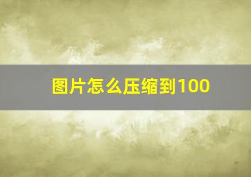 图片怎么压缩到100