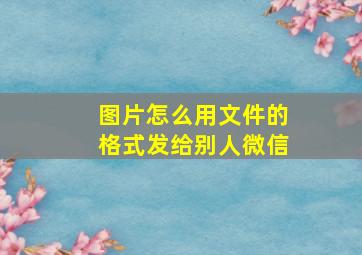 图片怎么用文件的格式发给别人微信