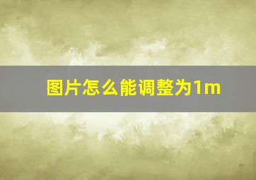 图片怎么能调整为1m