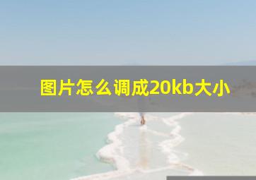 图片怎么调成20kb大小