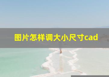 图片怎样调大小尺寸cad