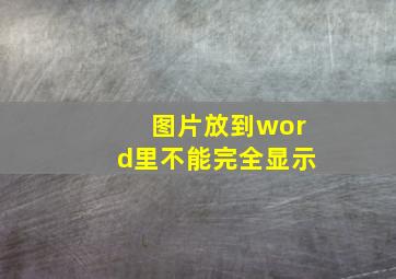 图片放到word里不能完全显示