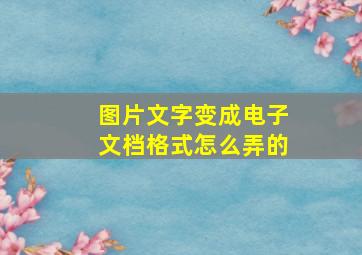 图片文字变成电子文档格式怎么弄的