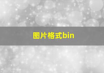 图片格式bin