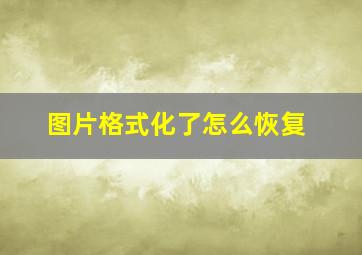 图片格式化了怎么恢复