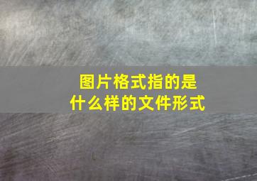 图片格式指的是什么样的文件形式