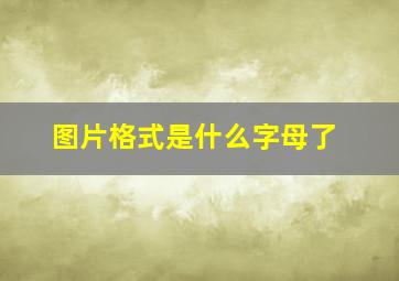 图片格式是什么字母了